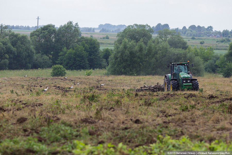 По следам Первой мировой: сельские могилы наступают на мемориалы