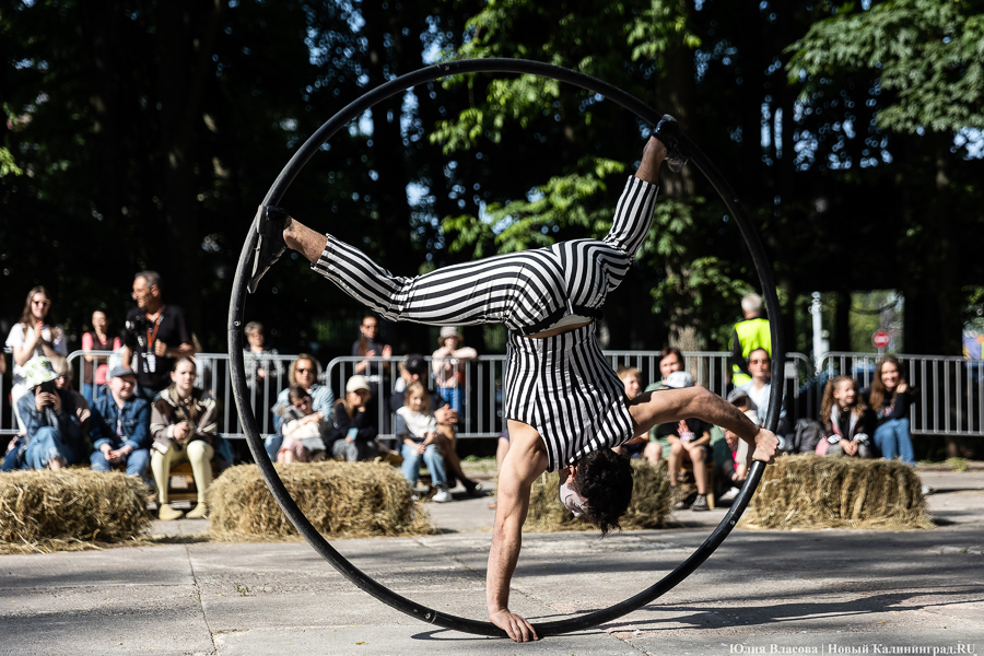 Это просто цирк какой-то: фестиваль «Башня» запустил уличную программу на «Балтике» (фото)