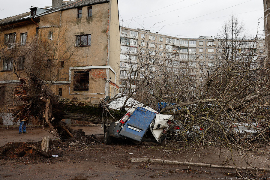 Хроники «Цейнепа»: очередной шторм пришёл в Калининградскую область (фото)