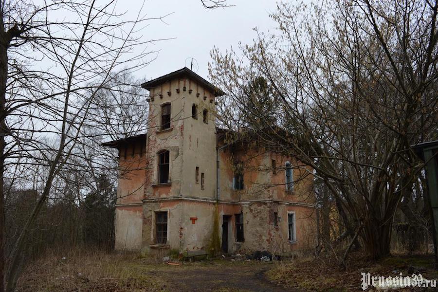 Власти Светлогорска намерены выставить виллу «Зор» на торги