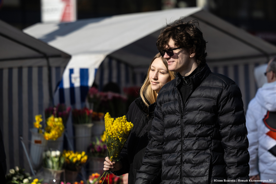 Мимозно-тюльпанный ажиотаж: Калининград накрыла традиционная цветочная лихорадка (фото)