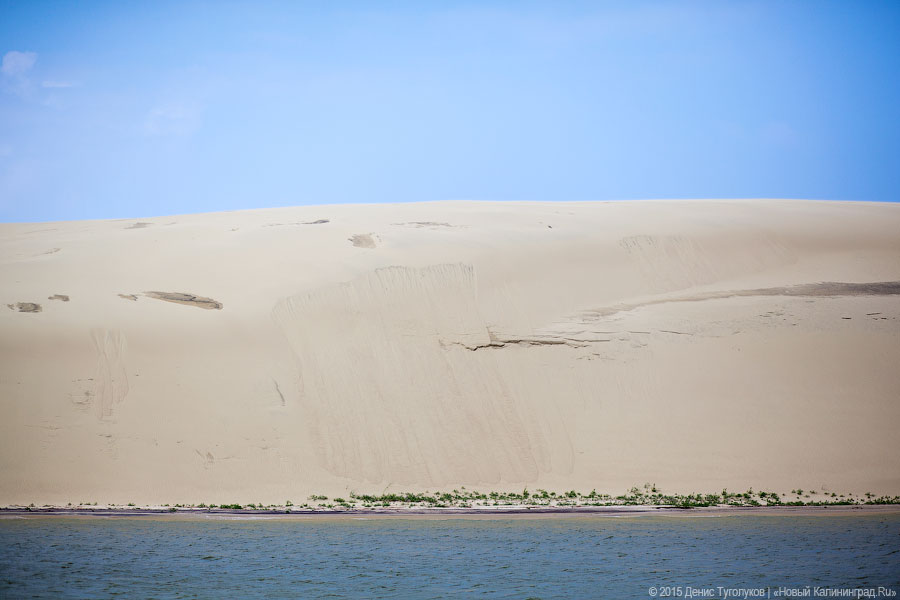 «Намеренно или в силу некомпетентности»: нацпарк ответил на доклад экологов в ЮНЕСКО