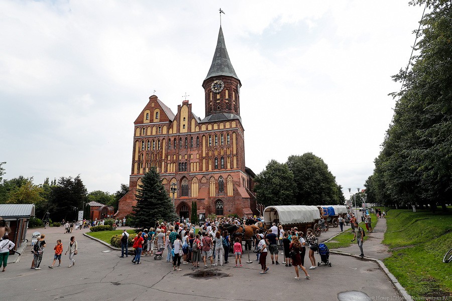 «Титаны» в Калининграде: фоторепортаж прибытия международного конного похода