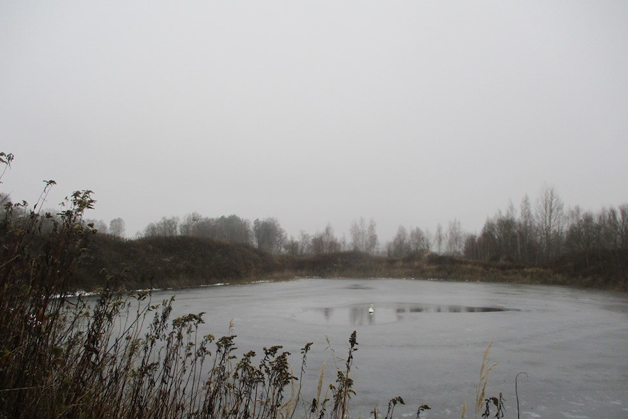 Под Светлым собственник незаконного карьера отказывается заниматься его рекультивацией