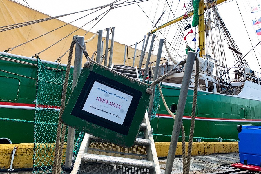 «Александр фон Гумбольдт II»: в Калининграде ошвартовался немецкий барк (фото)