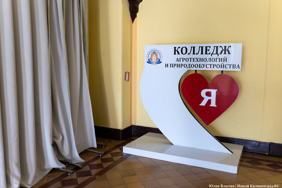 В регионе обещают создать три новых кластера «Профессионалитета»