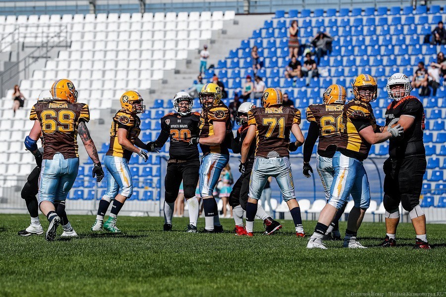 Власти готовятся выделить деньги на лагерь в Зеленоградске и стадион на Сельме