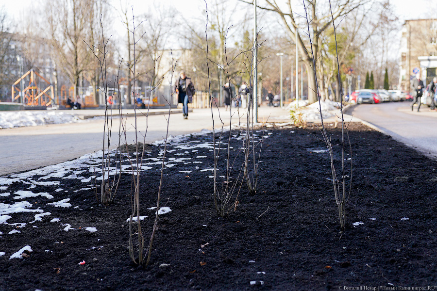 Как выглядит обновленная пешеходная зона на улице Рокоссовского без снега (фото)