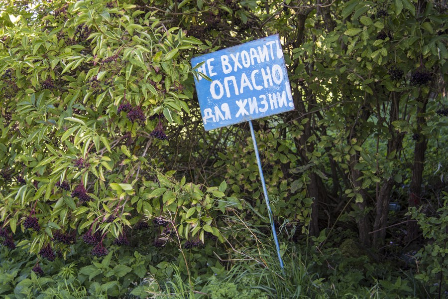 Заходите, открыто: концепция развития береговой территории яхт-клуба в Прибрежном