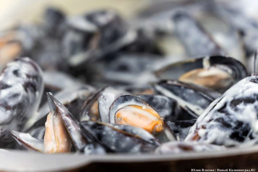 И рыба, и мясо: в Зеленоградске открылся гастрономический «Фиштиваль» (фото)