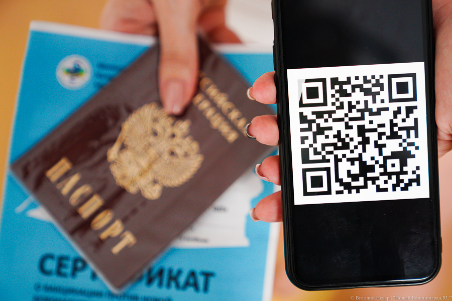 Региональные власти рассказали, как получить QR-код по тесту на антитела