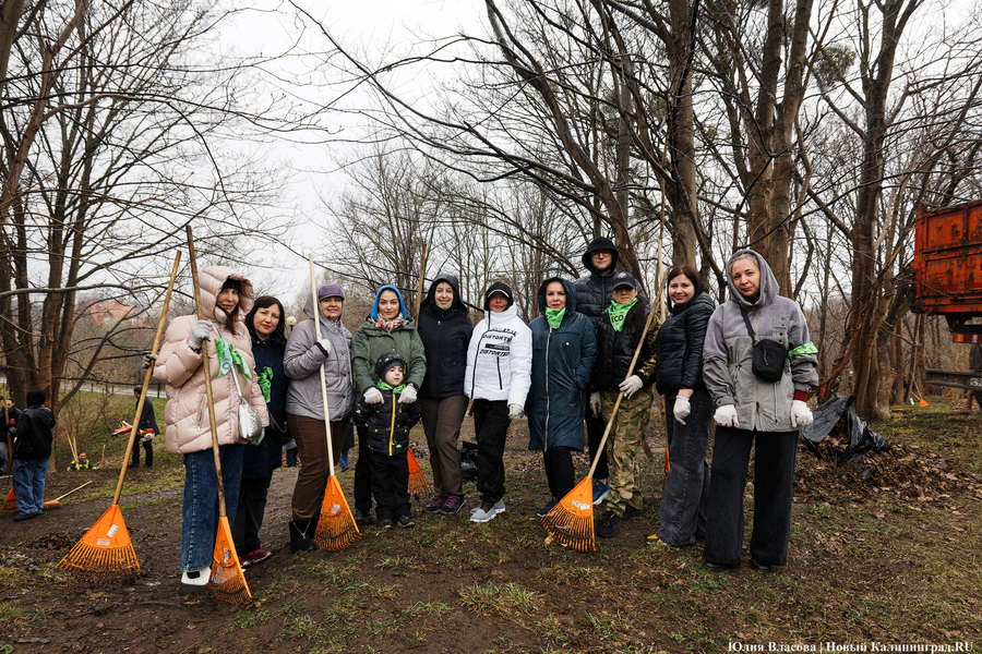 «Коммунальный Новый год»: как в Калининграде прошёл общегородской субботник