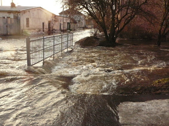 "Большая вода": фоторепортаж читателей "Нового Калининграда.Ru"
