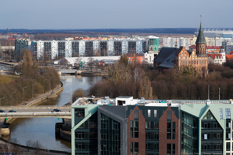 Фото: Виталий Невар / Новый Калининград