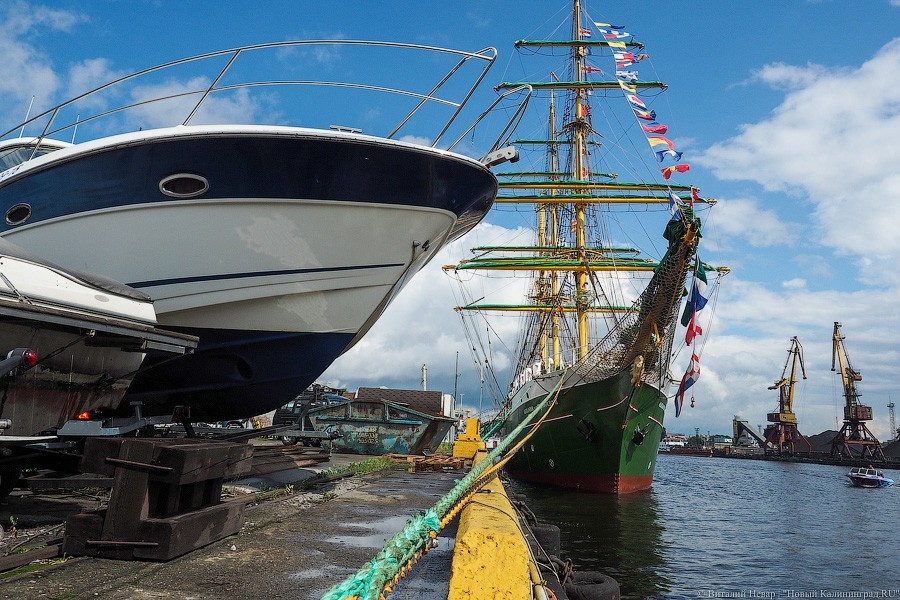 «Александр фон Гумбольдт II»: в Калининграде ошвартовался немецкий барк (фото)