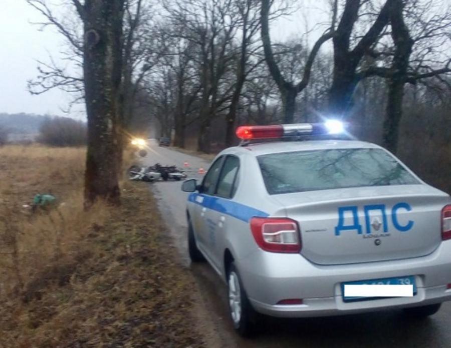 В Нестеровском районе мотоциклист врезался в придорожное дерево (фото)