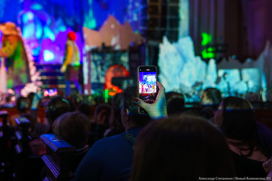 Спасти Рождество: как прошло открытие фестиваля «Зимние каникулы на Балтике» (фото)