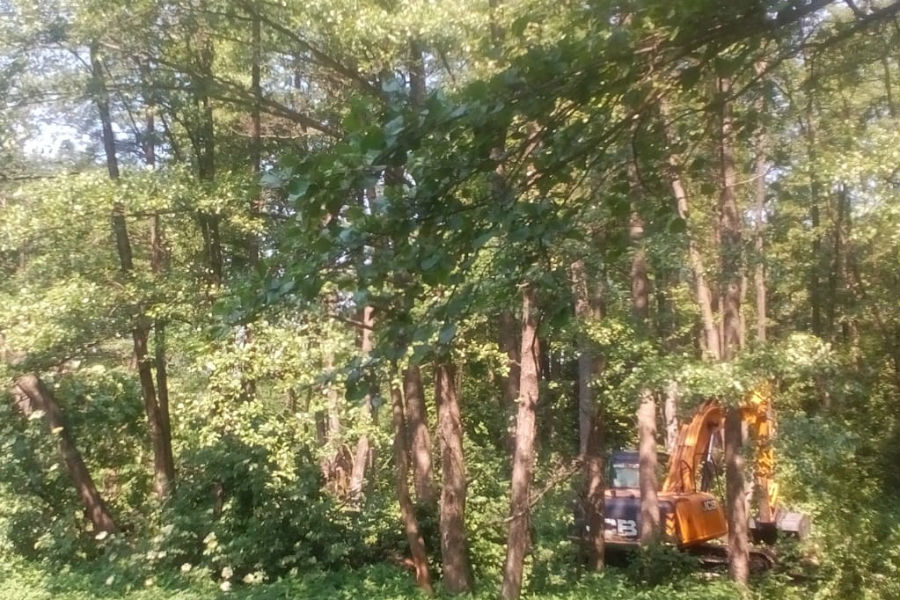 В Гурьевске экскаватор повалил и повредил полсотни деревьев