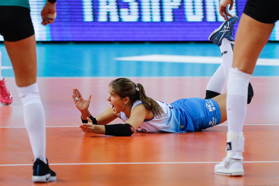 Два «Динамо» подряд: в Калининграде проходит волейбольный «Финал четырех» (фото)