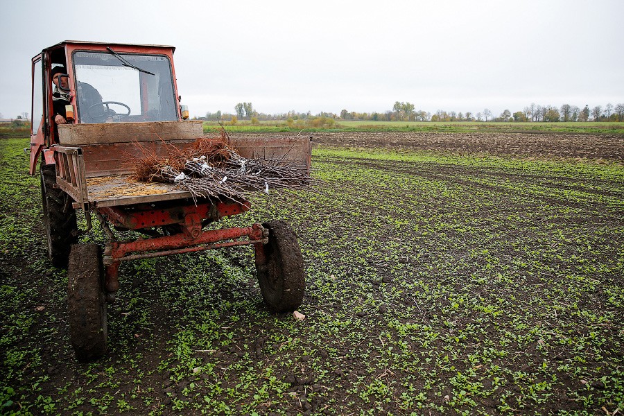 Власти РФ выделяют почти 14 млрд рублей на субсидии производителям сельхозтехники