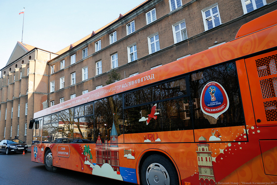 Верхом на трёхглазой змее: на калининградские автобусы нанесли символику ЧМ