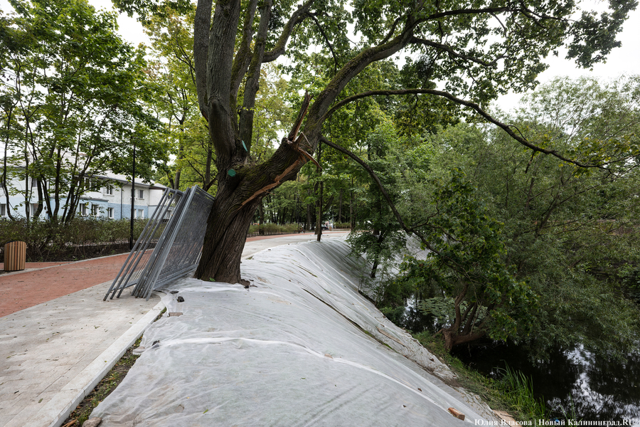 Почти готов, но дата открытия под вопросом: как сейчас выглядит Каштановый парк (фото)