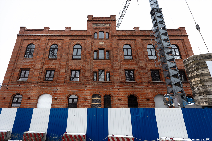 Фото: Юлия Власова / Новый Калининград