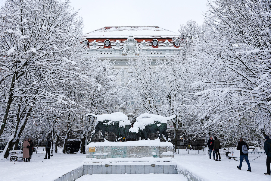 Хаос под белым покрывалом: как выглядит утонувший в снегу Калининград (фото)