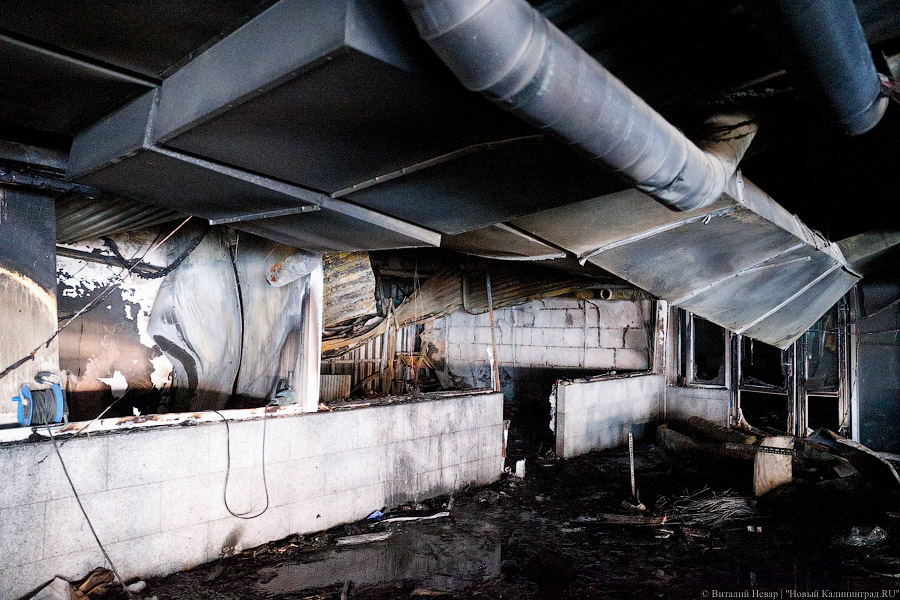 Цветы, гарь и копоть: пепелище пожара в торговом центре Калининграда (фото)