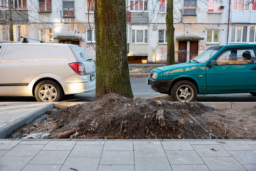 Коренные изменения: как выглядит сегодня благоустройство ул. П. Морозова (фото)