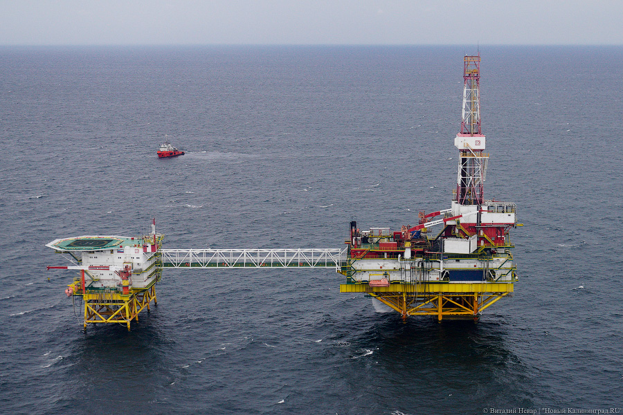 Прилетит вдруг волшебник: как голосовали на платформе «Д-6»