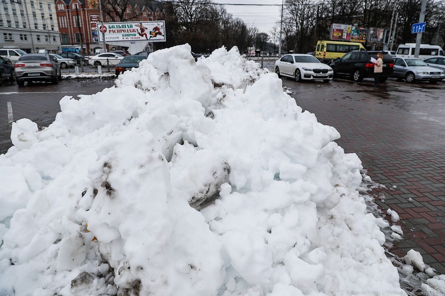 Эксперт рассказал, когда в Калининграде ждать снега