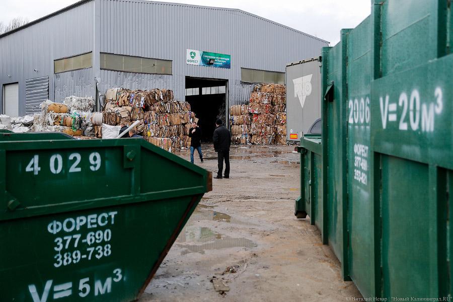 В ГД предложили упростить раздельный сбор мусора ради экономии