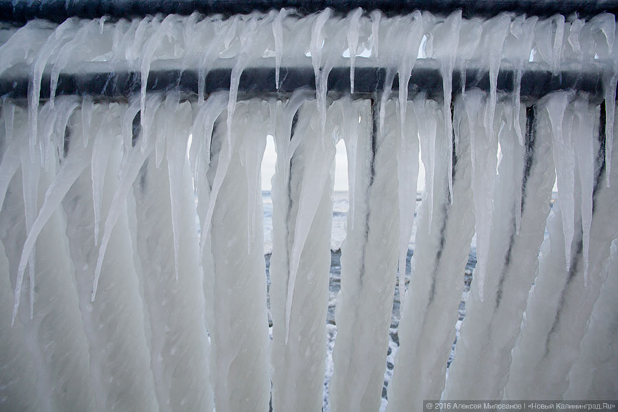 Президенция Деда Мороза: набережная в Пионерском после шторма (фото)