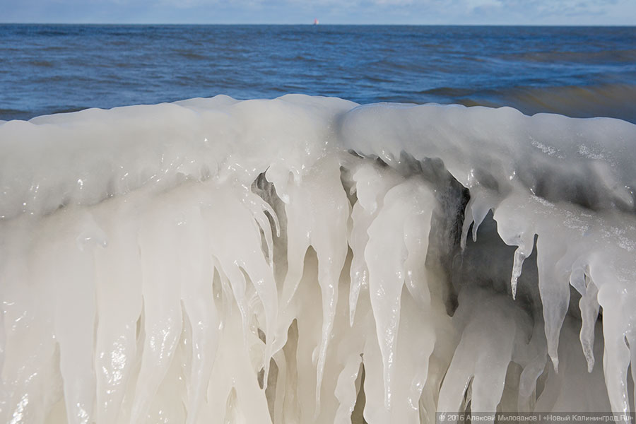 Президенция Деда Мороза: набережная в Пионерском после шторма (фото)