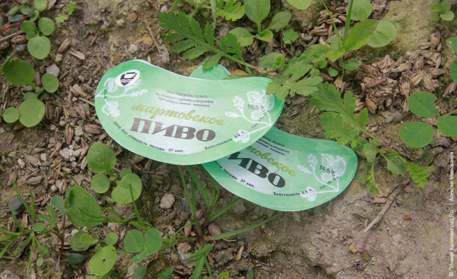 "Пустые дома: пивзавод в Железнодорожном": фотопроект "Нового Калининграда.Ru"