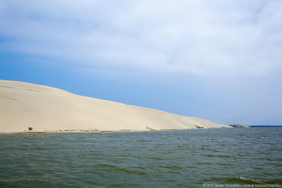 Фото: Виталий Невар / Новый Калининград