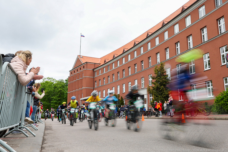 Лыжи, велики, унициклы: как прошёл велопарад в Калининграде (фото)