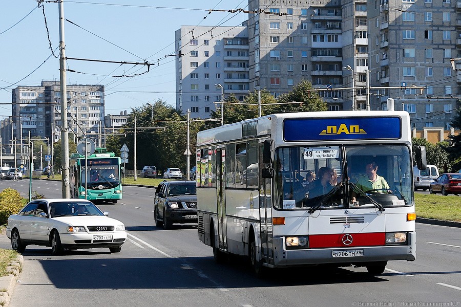 Калининградские перевозчики попросили увеличить тариф на проезд в 1,5 раза