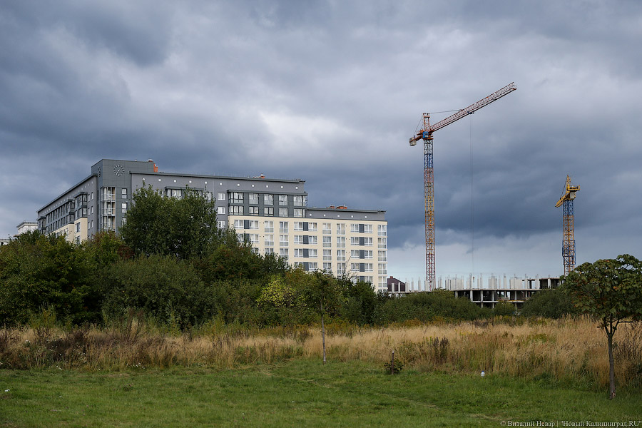 Фото — Виталий Невар, «Новый Калининград.Ru»
