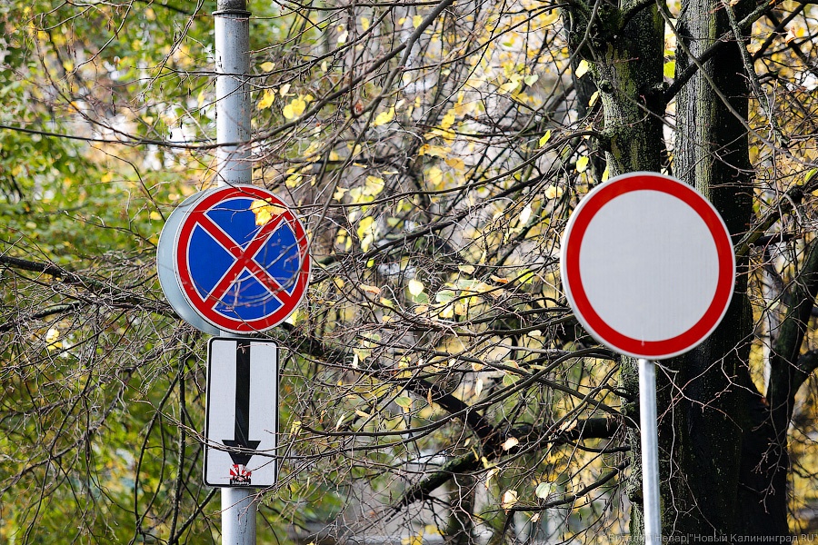Мэрия: на ул. Ватутина установят знаки «Остановка запрещена»
