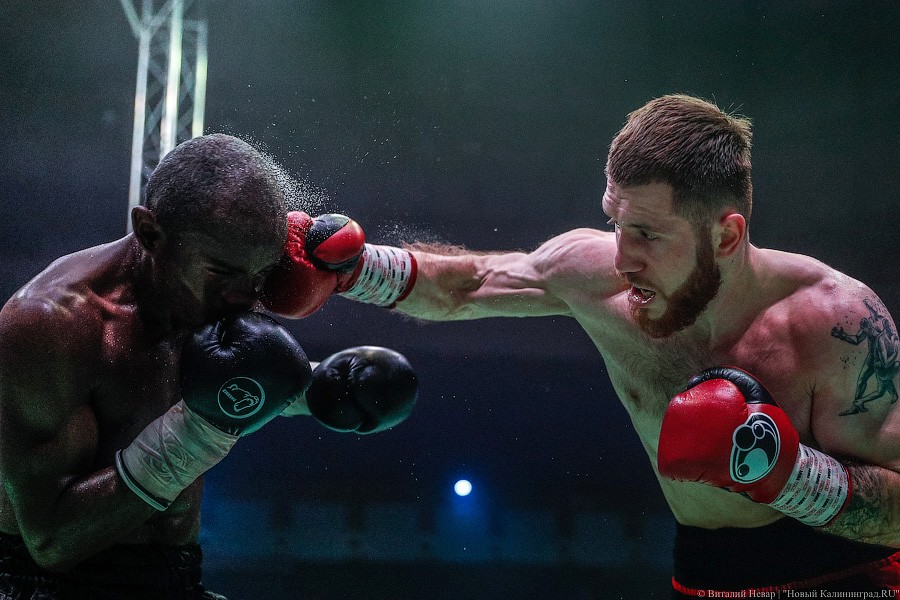 Раздельным решением судей: Чухаджян взял титул WBA International в Калининграде
