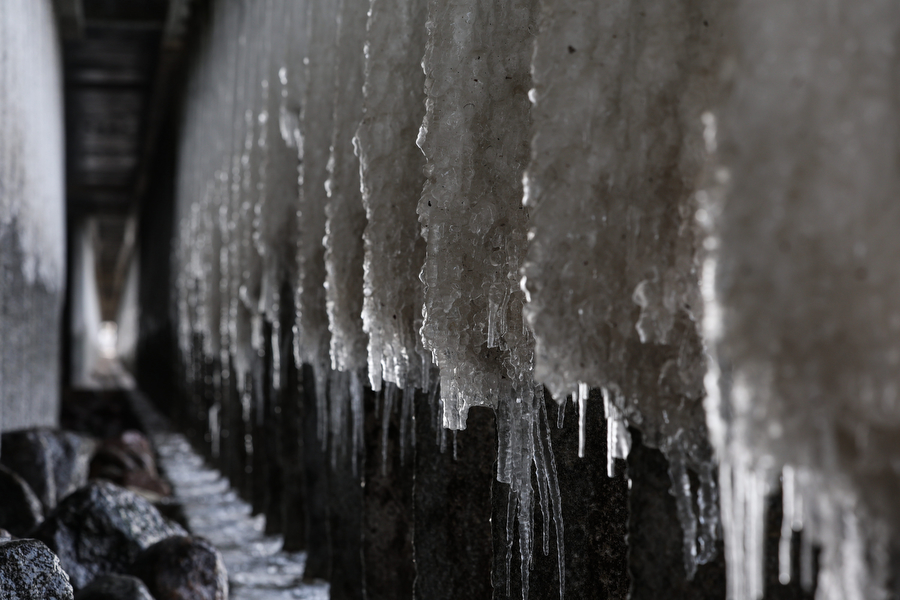 Мороз и море: как стихия украсила променад в Зеленоградске (фото)