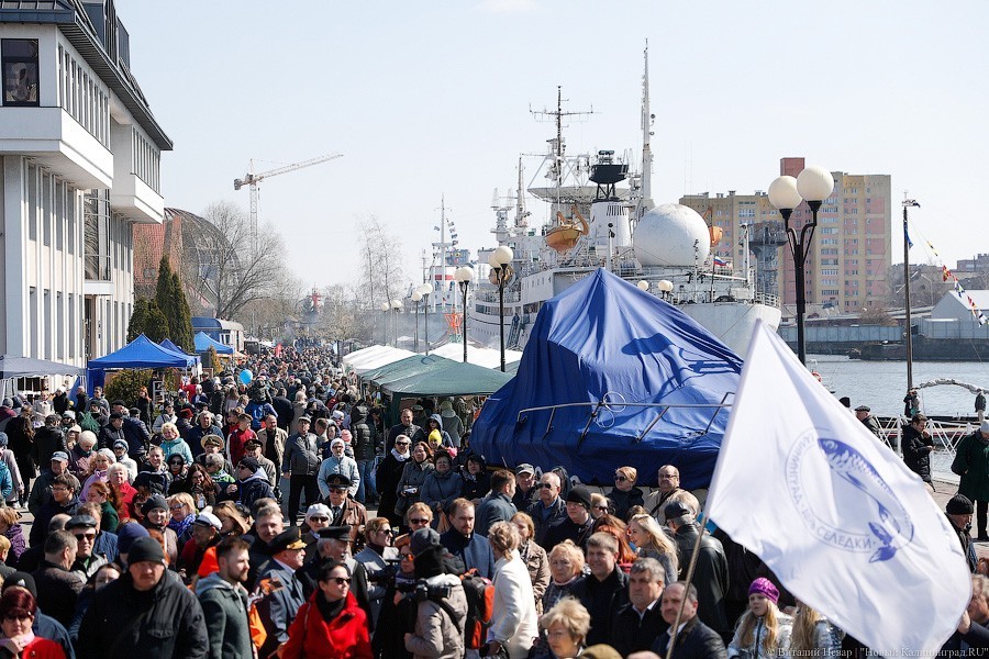 Фото: Виталий Невар / Новый Калининград