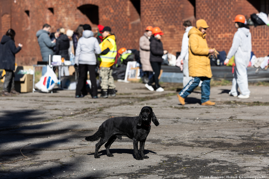 «Начало новой жизни»: в Астрономическом бастионе прошёл субботник (фото)