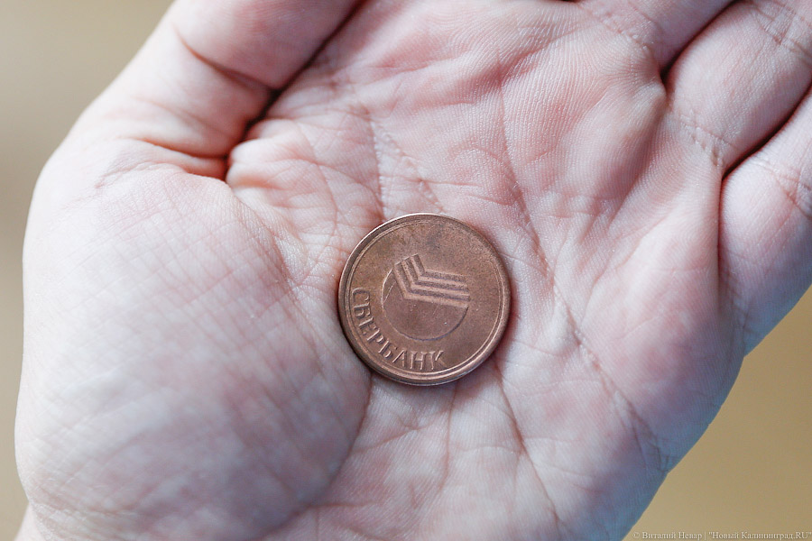 Фото — Виталий Невар, «Новый Калининград.Ru»