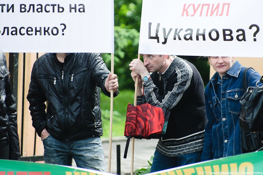 «Вялый зеленый протест»: фоторепортаж «Нового Калининграда.Ru»