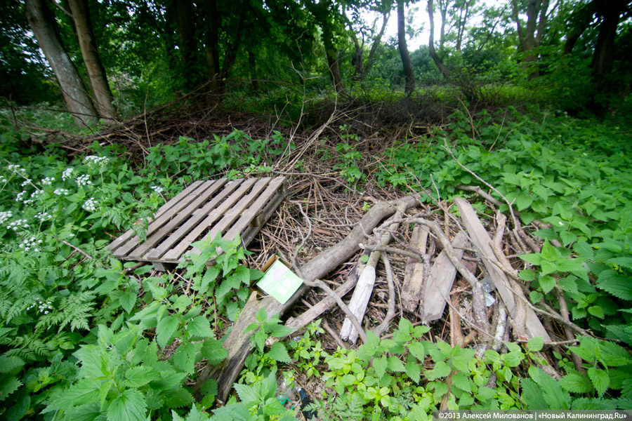 Часы и вороны: кирха в поселке Ушаково приходит в упадок