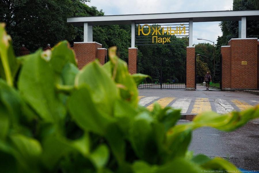 Фото — Виталий Невар, «Новый Калининград»