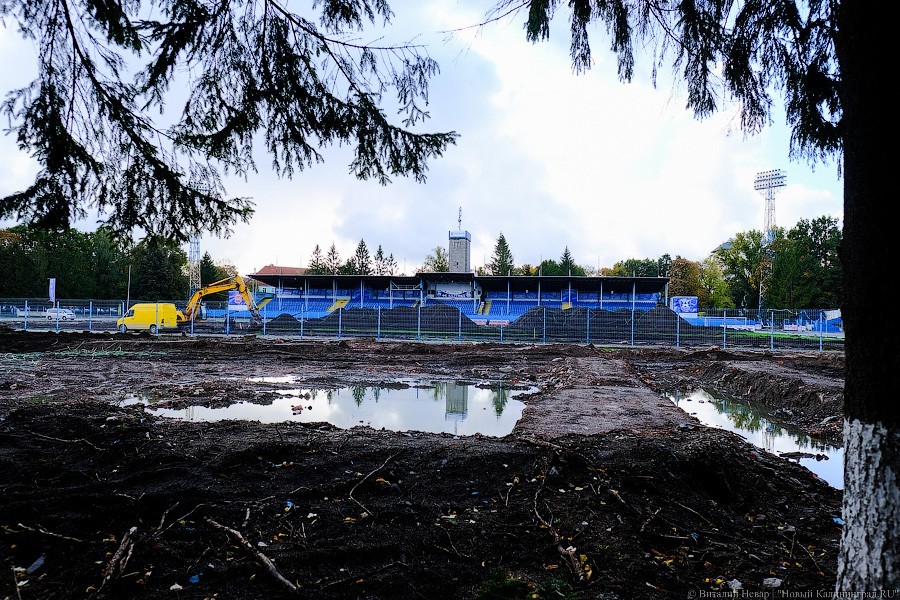 Огород вместо поля: что происходит со стадионом «Балтика» прямо сейчас (фото)